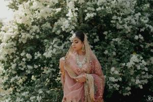 Photos by Safarsaga Films